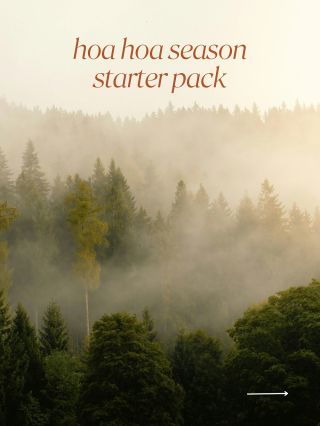 Hoa hoa season si žádá hoa hoa rituály 🍂 který je tvůj oblíbený? „Hoa hoa season“ označuje období inspirované filmem...