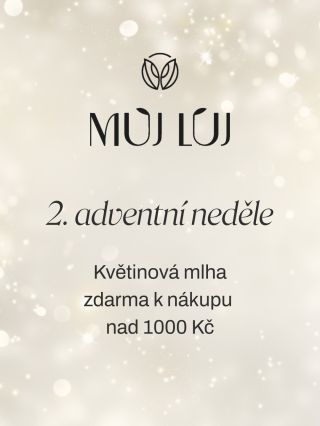 Mlha k nákupu jako DÁREK 🎁 Máme to druhou adventní neděli, což znamená další speciální akci pro tebe: Pouze dnes dostaneš...