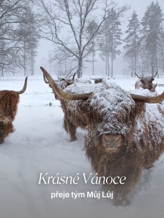 Krásné Vánoce přejeme 🐮🎄 Děkujeme, že jste letos byli s námi. 🤍 Že jste si našli cestu k Můj Lůj, zpomalili s námi a...