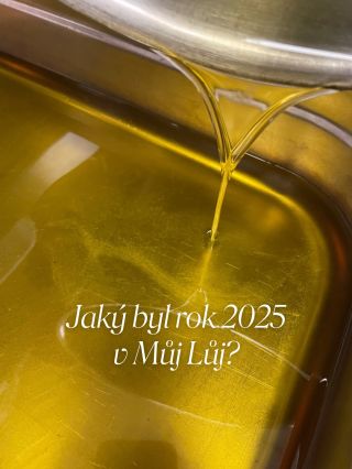 Jaký byl rok 2025 v Můj Lůj? ❤️ Pojď se s námi ohlédnout zpět a nakouknout do toho, co se děje na pozadí značky přírodní...